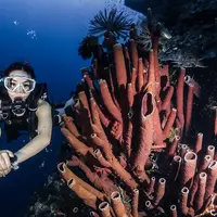 Gisella Anastasia (Instagram//Gisella Anastasia)