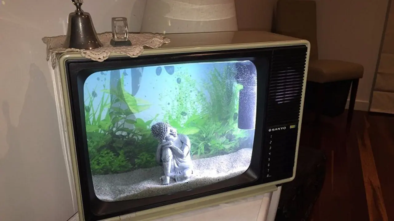 Akuarium Televisi
