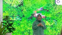 Cerita Rosita Istiawan, Merawat Alam dari Nol Lewat Hutan Organik di Megamendung Bogor