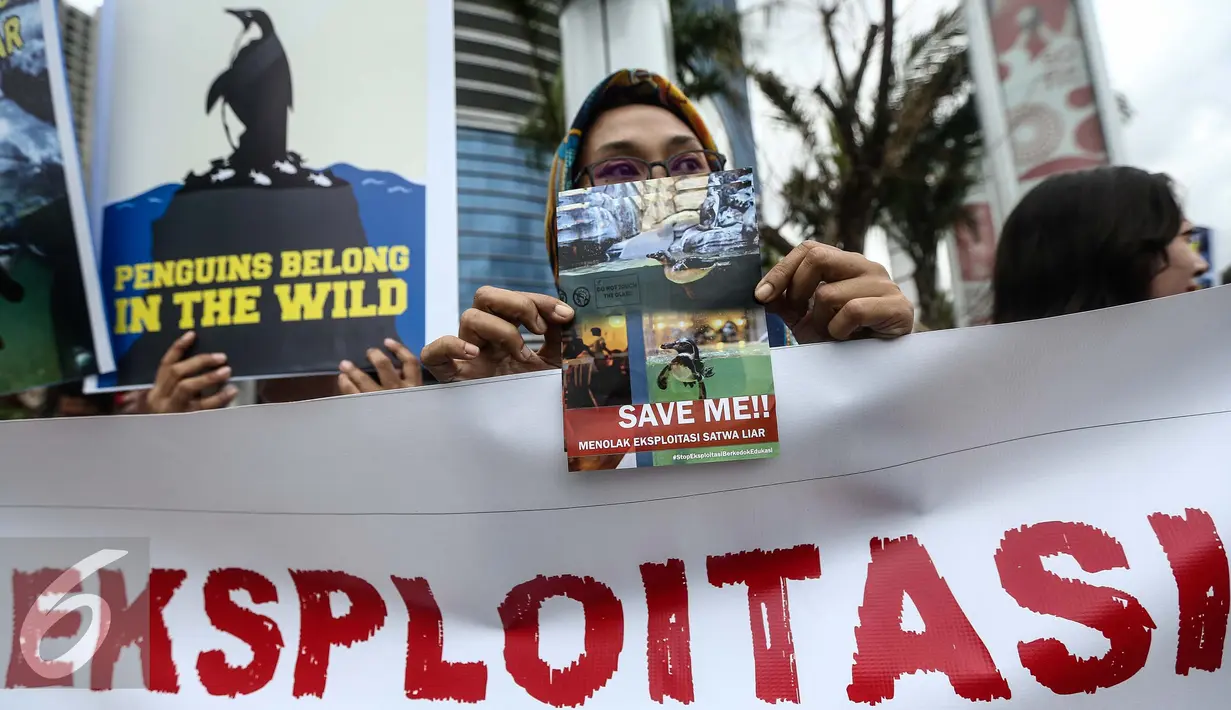 Ekspresi seorang aktivis saat melakukan aksi di depan mall Neo Soho di kawasan Central Park, Jakarta Barat (15/01). Menurut pihak MPS, tontonan hewan adalah sebuah eksploitasi bagi keselamatan fisik dan psikis para Penguin. (Liputan6.com/Faizal Fanani)