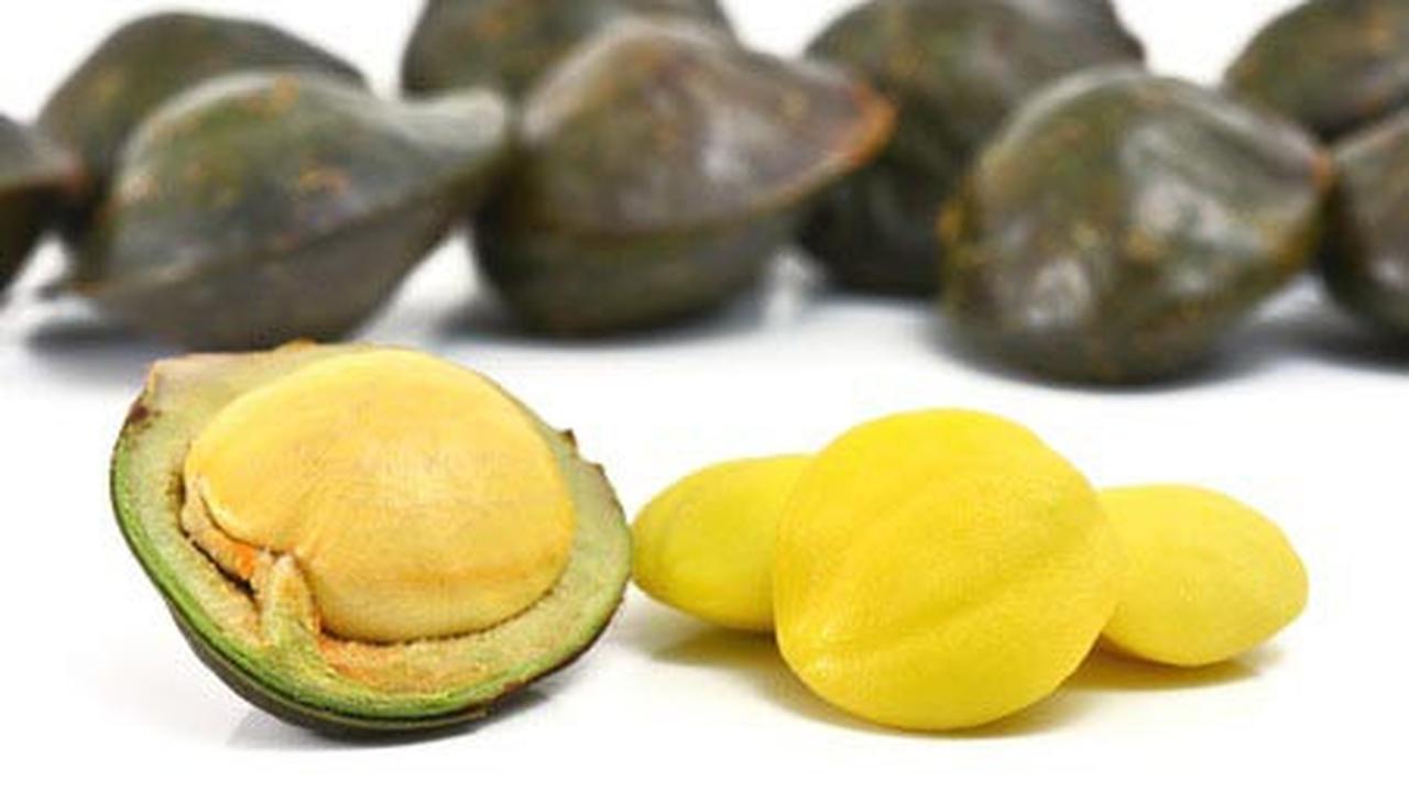 Bahaya Akibat Makan Jengkol Terlalu Banyak