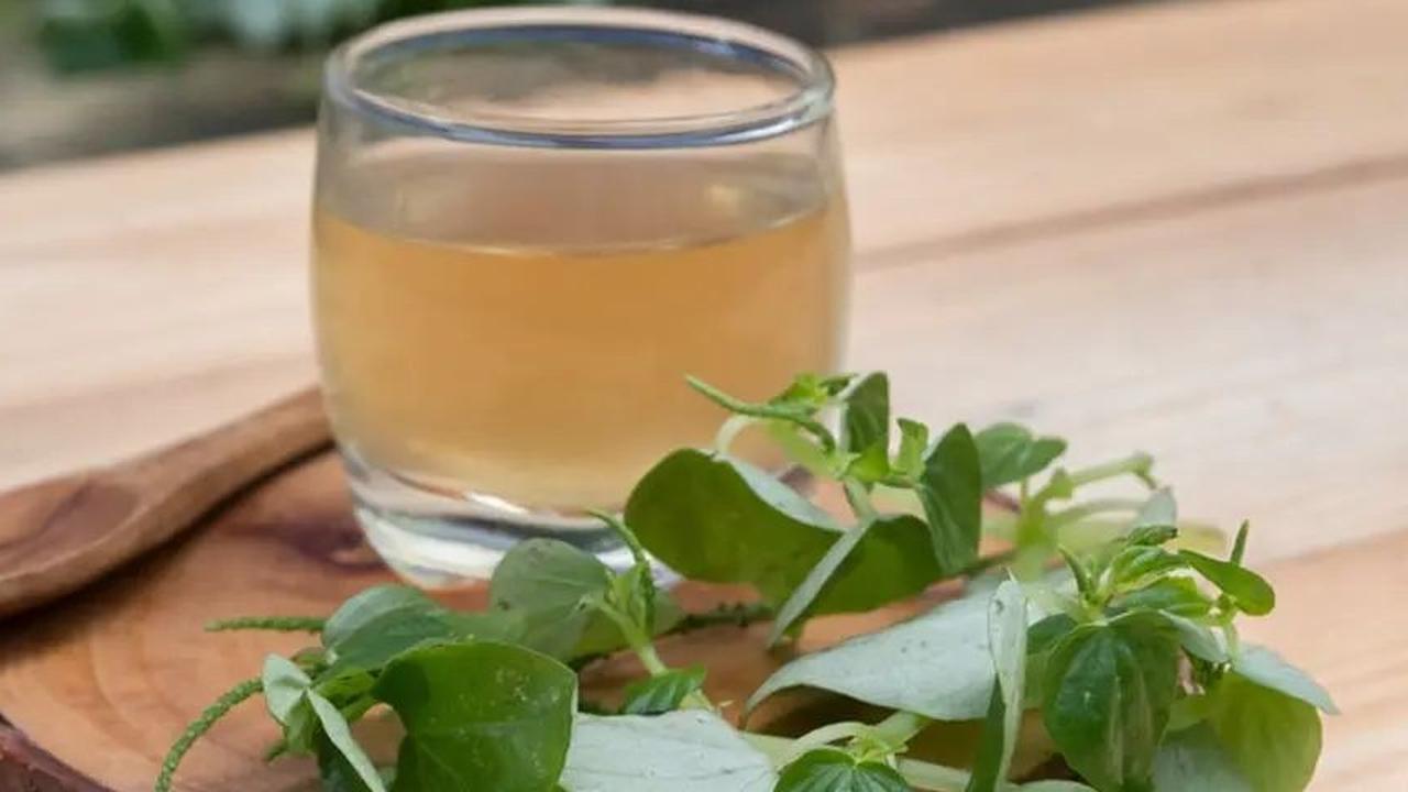 3 Resep Jamu Dari Rebusan Daun, Solusi Herbal untuk Menurunkan Kolesterol dan Mengatasi Tekanan Darah Tinggi