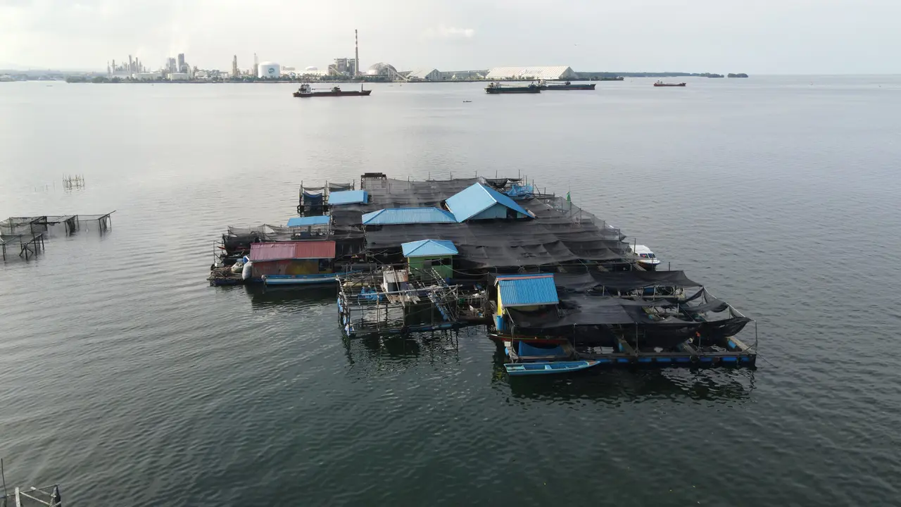 Keberhasilan PT Pupuk Kalimantan Timur (Pupuk Kaltim) dalam pengembangan program Creating Shared Value (CSV) Keramba Jaring Apung (KJA) bagi nelayan Bontang, menarik perhatian sejumlah pihak