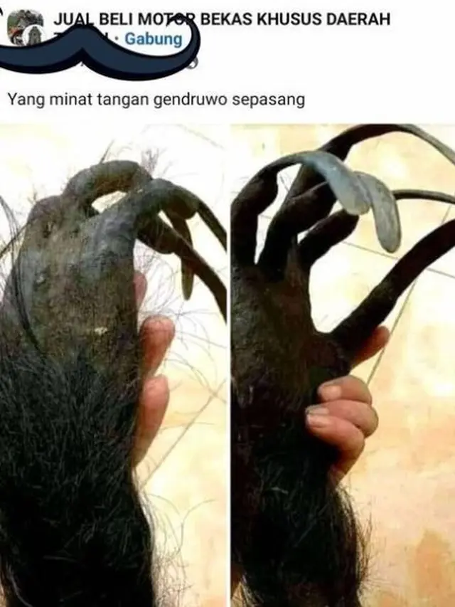6 Barang Aneh yang Dijual di Facebook, di Luar Nalar