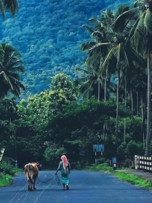 Hotman Paris ingin tinggal di daerah ini saat pensiun (https://www.instagram.com/p/CAUn0Mjl0zM/)