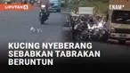 Insiden kecelakaan kendaraan viral lantaran melibatkan kucing yang menyeberang. Taksi berhenti mendadak ketika kucing hendak menyeberang dari sisi kanan. Namun sejumlah pengendara di belakang justru terlibat tabrakan beruntun.