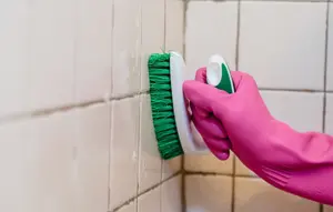 Cara Membersihkan Kamar Mandi dengan Sitrun dan Sunlight, Ini 5 Langkah Mudah Atasi Kerak Membandel