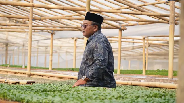 Suwondo mengembangkan usaha minimarket DD Mart, rumah pembibitan, serta budidaya sayuran organik dan peternakan ayam petelur.