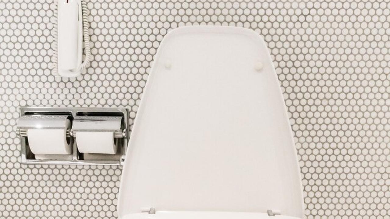 Ilustrasi Toilet