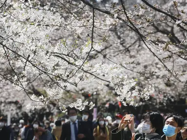 Seorang pengunjung yang memakai masker mencoba mengambil foto bunga sakura di Tokyo, Selasa (23/3/2021). Keadaan darurat virus Covid-19 di Tokyo dan tiga provinsi sekitarnya resmi dicabut pada akhir hari Minggu, 21 Maret 2021. (AP Photo/Koji Sasahara)