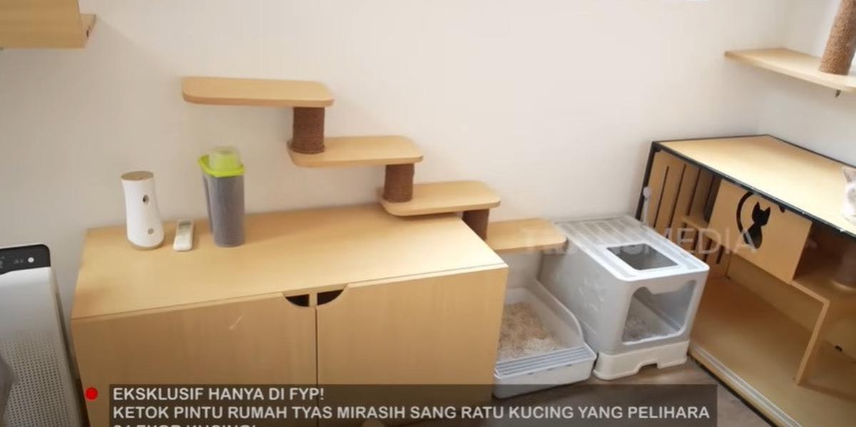 7 Potret Rumah Kucing Tyas Mirasih bak Asrama, Dihuni 24 Ekor Anabul - Ada Ruang Melahirkan
