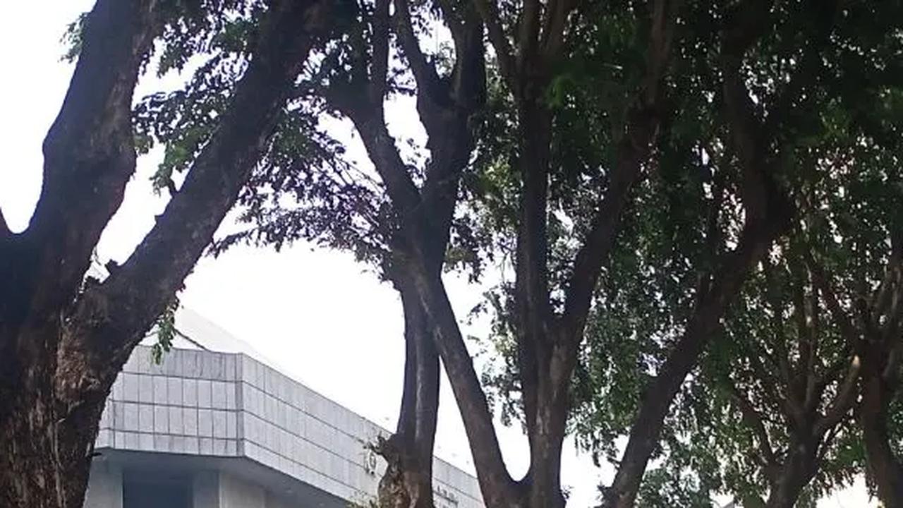 Bike to Work Cabut Penghargaan Jakarta Kota Ramah Sepeda