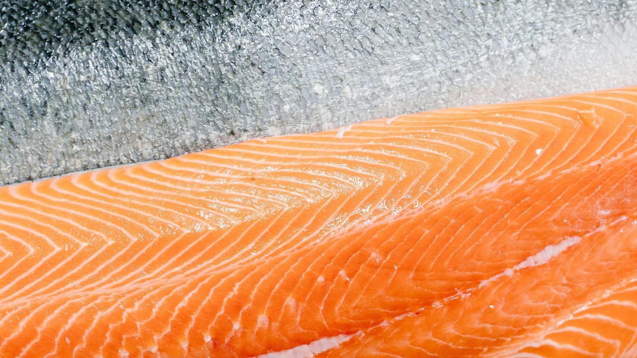 Contoh ilustrasi daging salmon