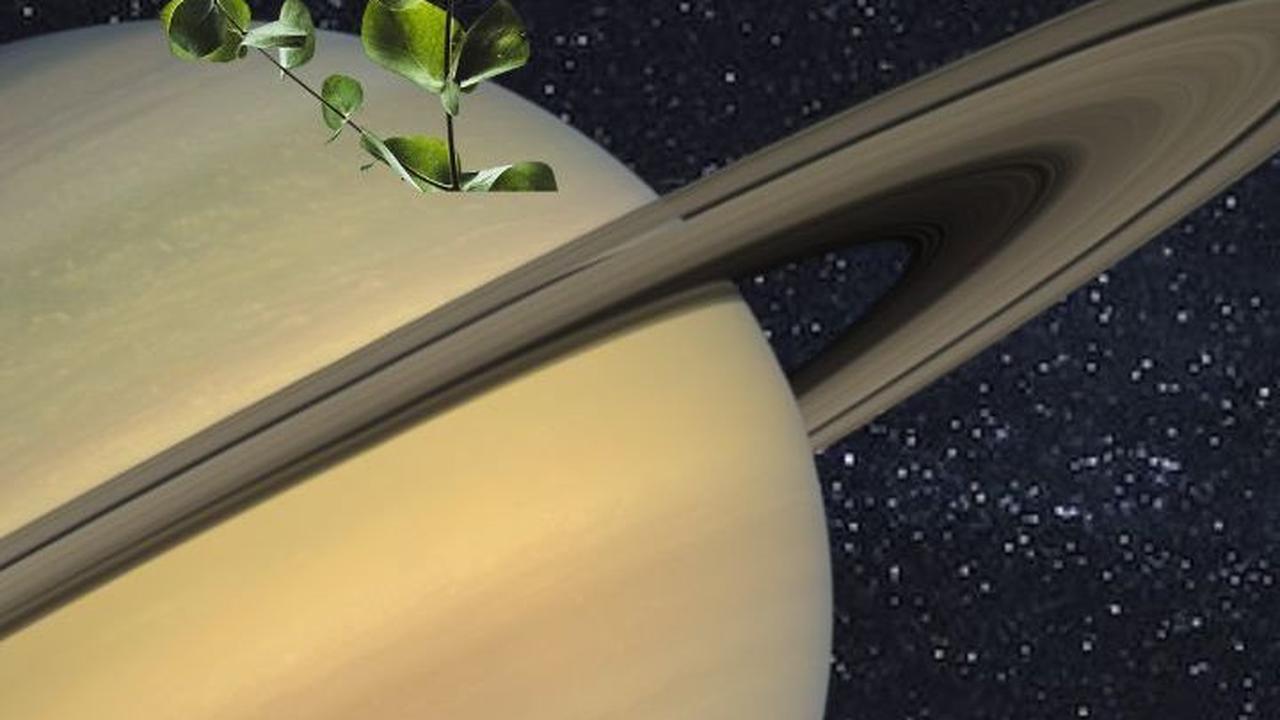 Ilmuwan Dikagetkan Adanya Tanda-tanda Kehidupan di Planet Saturnus