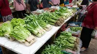 Cara Membedakan Sayur Hidroponik dan Konvensional di Pasar Menurut Petani, Kenali Ciri Fisiknya