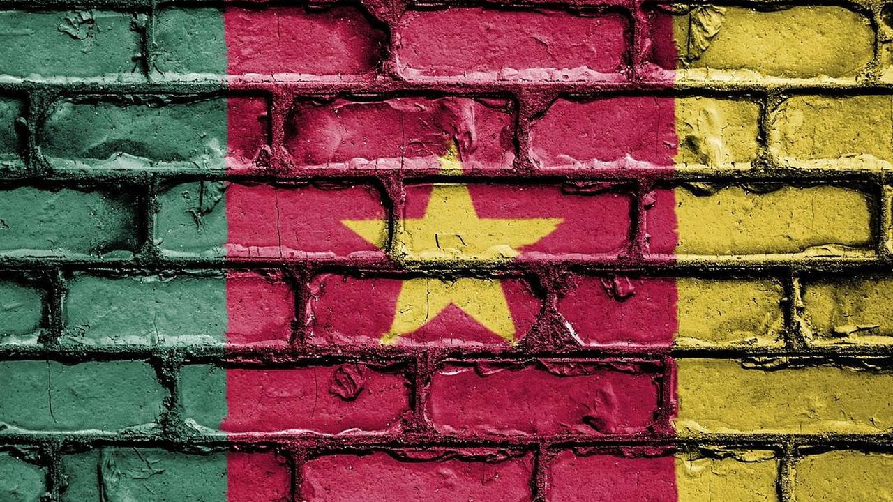 7. Pada posisi ketujuh, ada Kamerun dengan 274 bahasa.