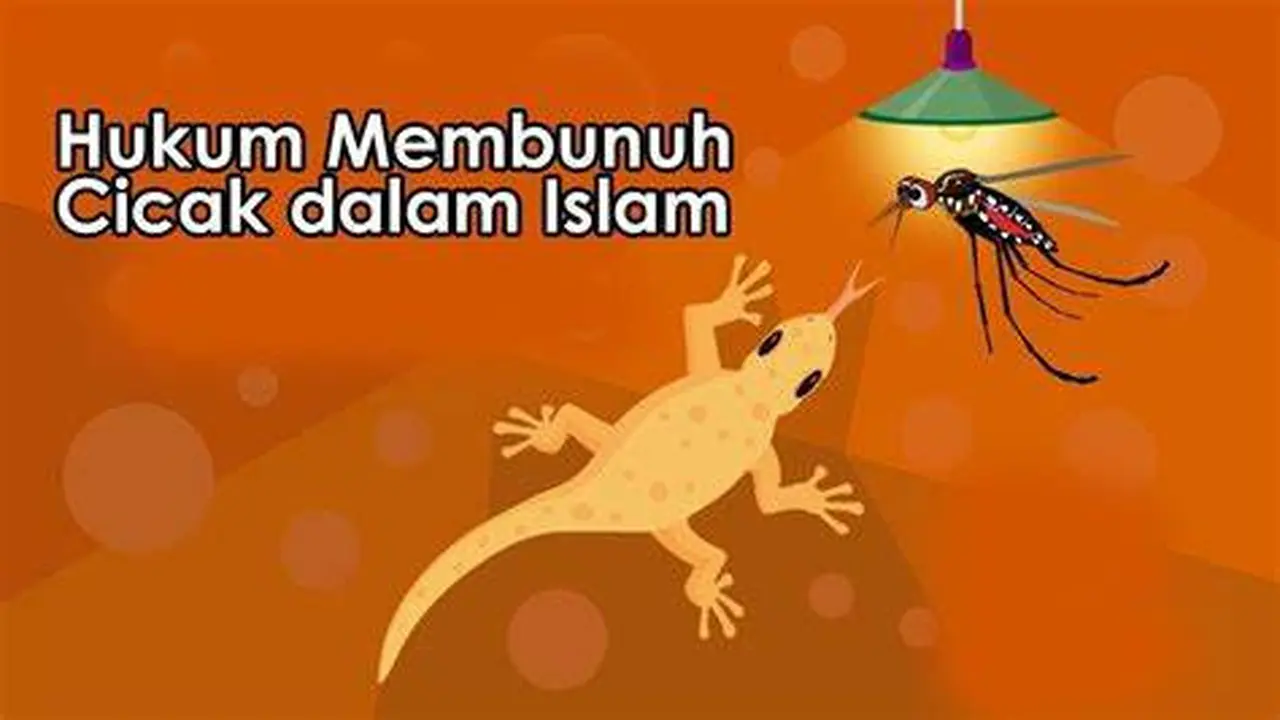 cicak