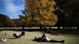 Orang-orang bersantai sambil menikmati cuaca musim gugur di Gyoen Park di Tokyo (5/12/2019). Ada tiga gerbang untuk meangakses Shinjuku Gyoen, yaitu Gerbang Shinjuku, Gerbang Okido, dan Gerbang Sendagaya. (AFP/Charly Triballeau)