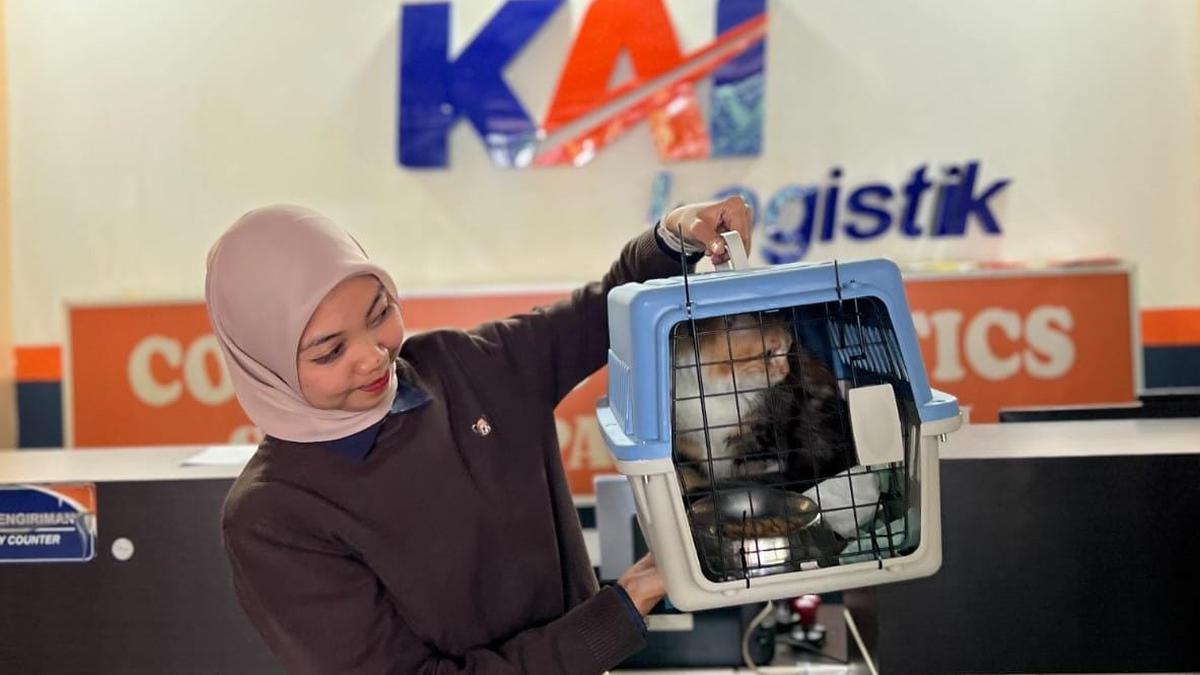 Pengiriman Hewan Pakai Kereta Api Kini Jadi Tren, Ini Buktinya