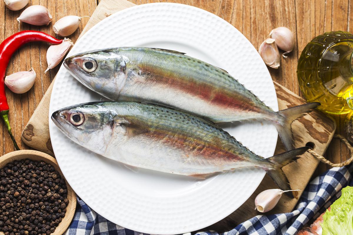 ikan segar