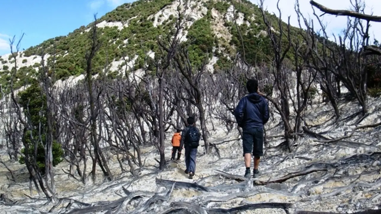 [Bintang] Keindahan yang Tak Kunjung Berakhir di Gunung Papandayan