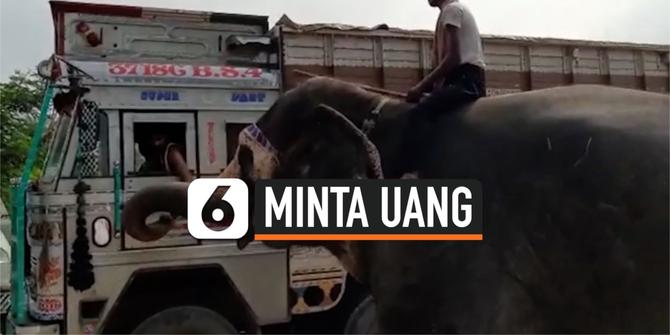 VIDEO: Aksi Seekor Gajah Minta Uang di Tengah Jalan Raya