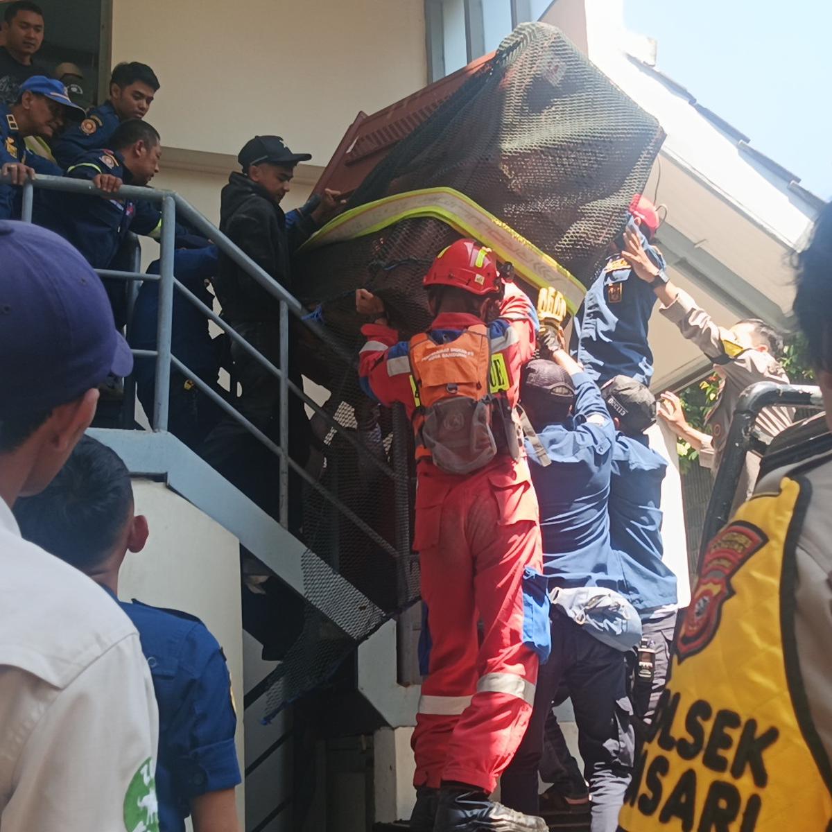 Drama Macan Tutul di Hotel Bandung Berakhir, Kini Jalani Observasi di Lembang Zoo