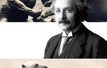 Einstein di Foto AI Ini Punya Job Baru Jadi Pawang Binatang, Harimau Dibuat Kuda-kudaan