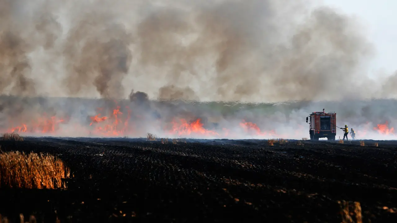 Bentrokan di Jalur Gaza, Ladang Gandum Israel Hangus Terbakar