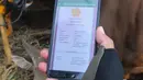 Cara memakai aplikasi ini cukup mudah, pengguna hanya perlu melakukan scan QR code yang dipasang pada anting atau 'ear tag' hewan kurban.  Nantinya, akan muncul kondisi kesehatan dan status vaksinasi PMK pada hewan kurban yang dipilih.(merdeka.com/imam buhori)