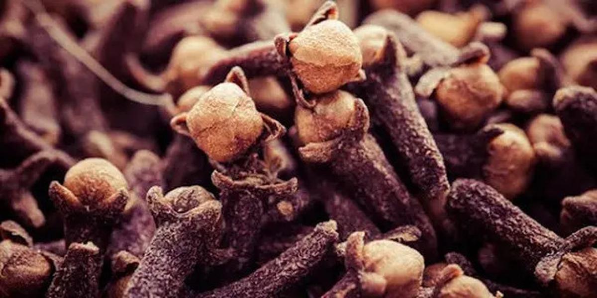 Manfaat Rebusan Cengkeh dan Jahe, Resep dan Khasiat untuk Kesehatan