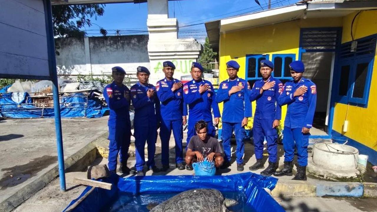 Terungkap! Nelayan Pemburu Penyu Dilindungi di Sikka Terancam 5 Tahun Penjara, Ditpolairud NTT Berhasil Ringkus Pelaku