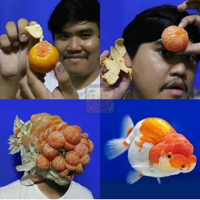 6 Cosplay 'Low Budget' Jadi Hewan Ini Bikin Ketawa Geli