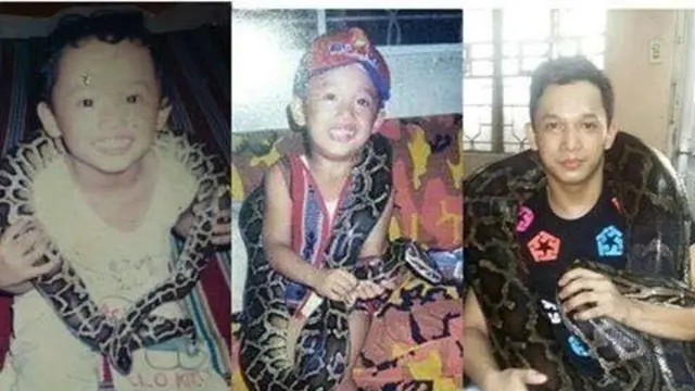 5 Kisah Persahabatan Manusia dengan Ular Piton, Ada yang Jalin Ikatan Sejak Bayi