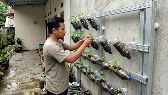 Trik Pasang Rangka Spasi 5 Cm pada Kebun Botol Vertikal