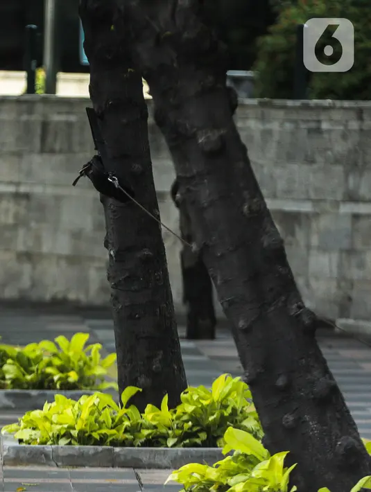 Sebuah tas mencurigakan yang ditaruh di depan Hotel Kempinski, Bundaran HI, Jakarta, Kamis (16/4/2020). Dalam pemeriksaan yang dilakukan anggota Gegana diketahui bahwa tas tersebut kosong. (Liputan6.com/Faizal Fanani)