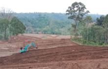 Wow, Cetak Sawah Rejang Lebong Capai 251 Hektare, Siap Jadi Lumbung Pangan Bengkulu!