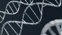 166 Tahun Berlalu, Identitas Awak Franklin Terungkap Lewat DNA