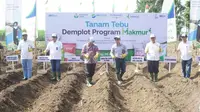 Kegiatan panen dan tanam tebu melalui program Petani Makmur di lahan percontohan Demonstration Plot (Demplot) di Malang Jawa Timur. (Dok ID Food)