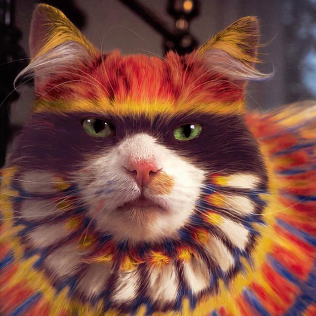 15 Foto Kucing Dicat Yang Nggak Masuk Akal Tapi Hasilnya Lucu Hot Liputan6 Com