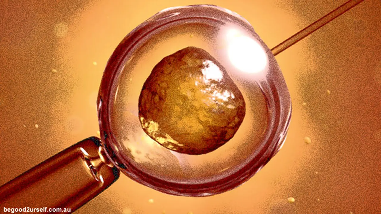 fertilsisasi130117b.jpg
