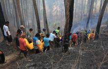 Evakuasi 4 korban tewas kebakaran hutan pinus di Ponorogo