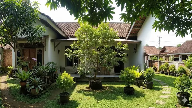 Tanaman Buah untuk Pekarangan Tanpa Khawatir Akar Menjalar