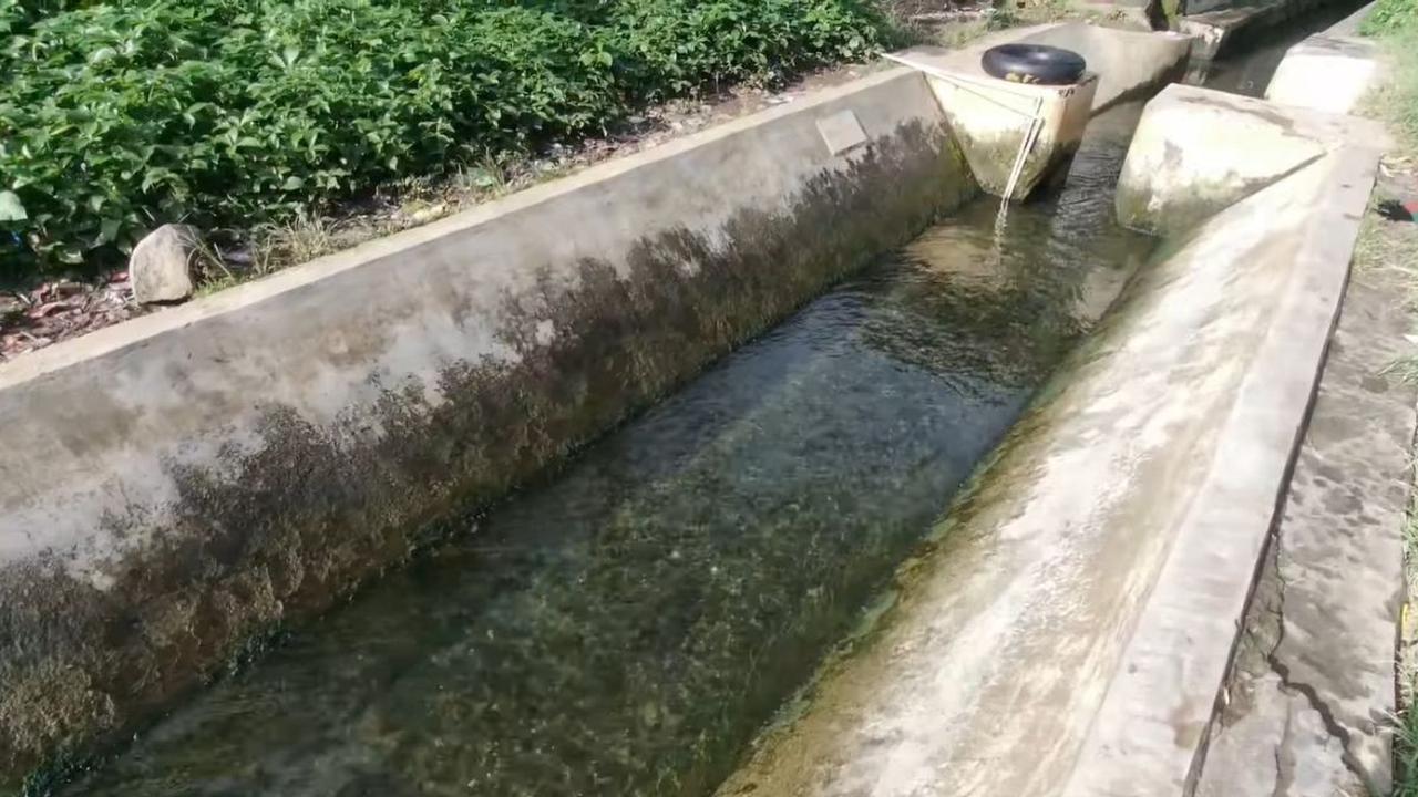 Perlu Dikelola dengan Baik