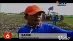 Warga Bojonegoro gotong-royong untuk memburu hama tikus, kegiatan yang dinamakan grobyokan tikus ini, antusias dilakukan warga karena hama tikus ini sangat meresahkan.