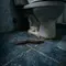 Cara Mengatasi Kelabang yang Muncul di Kamar Mandi Saat Musim Hujan, Terbasmi sampai Kecoa-Kecoanya
