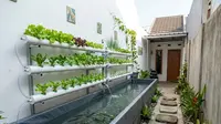7 Tips Memelihara Lele di Kolam Terpal agar Tetap Produktif dan Tidak Mudah Mati