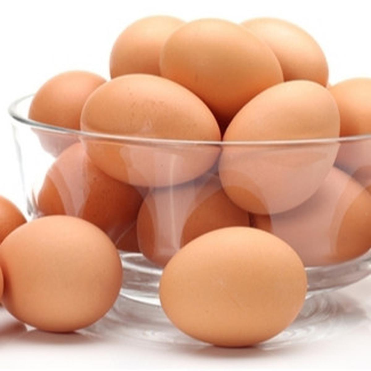 Ilustrasi telur ayam