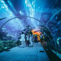 Tempat wisata Jakarta Aquarium. (istimewa)