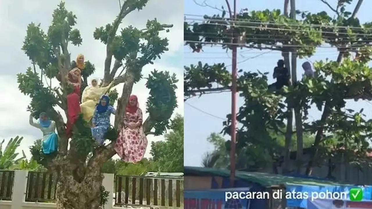 8 Potret Nyeleneh Orang di Atas Pohon, Ada yang Nyanyi Hingga Pacaran